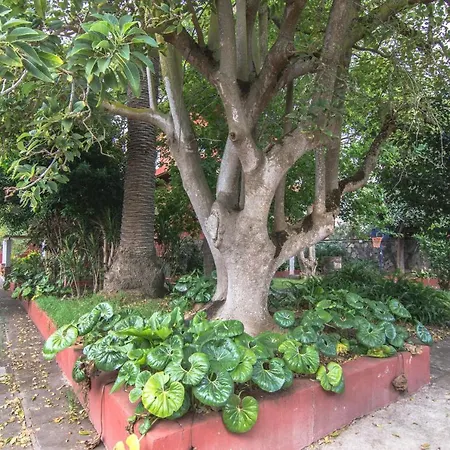 María Bed and breakfast *